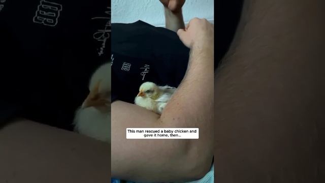 Волшебство.