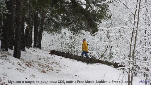 Музыка, которая звучит как ночь, полная страсти... - Songwriter for Life -- Taylor Poe -- Quiet Soun