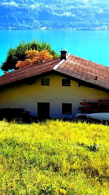Камера в центре событий
