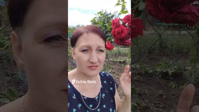 Как быстро успокоиться?