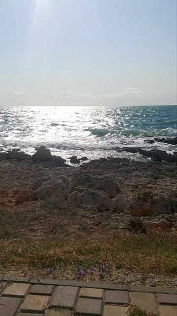 Море волнуется