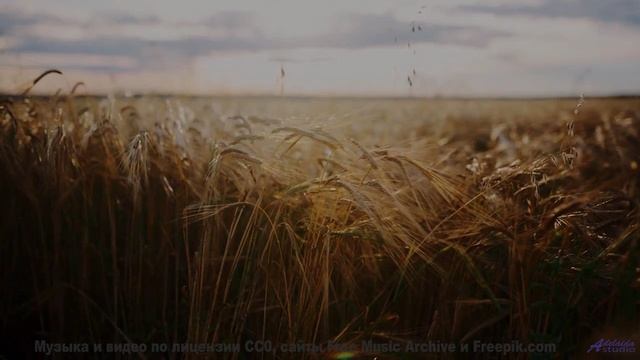 Эта композиция создана квантовой запутанностью - услышьте связь всего со всем! - Soul Purpose  Soula