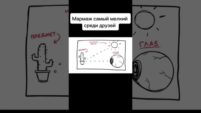 Был самым мелким среди пацанов