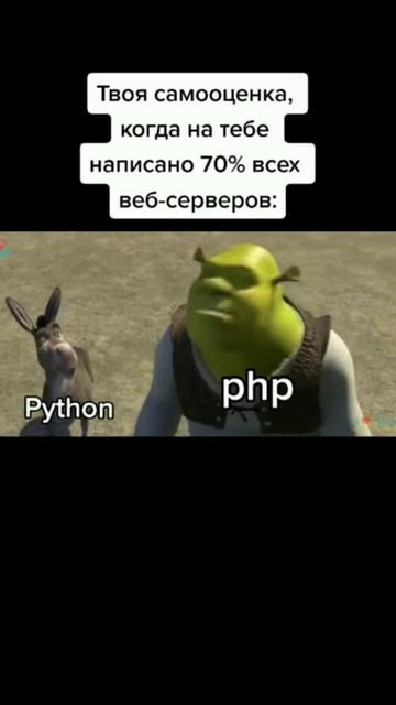 Программист