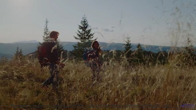 Эти кадры + эта музыка = взрыв эмоций! - Alcoholism -- HoliznaCC0 -- THE NOISE - Barely Fauna