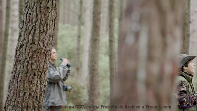 Звуки, управляющие временем - фантастика или наука - Sweet Dreams -- Scott Holmes Music -- Music for