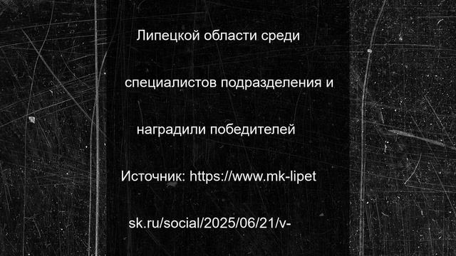 В Липецке назвали победителей первенства среди кинологов