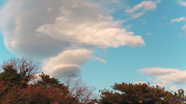 Кадры природы, которые выглядят как фантастика! - Grey On The Wind -- Blue Sky Moon -- I Used to Bui