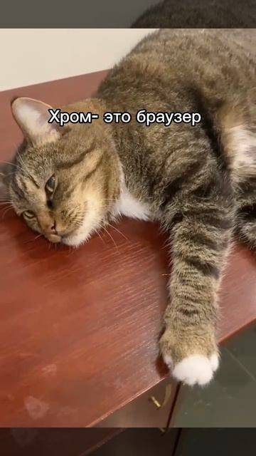Сижу на уроке химии 😁😆😄😻🏫
