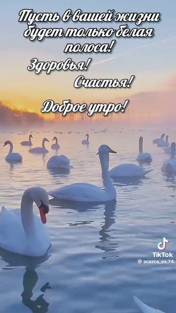 Пусть в вашей жизни будет только белая полоса!