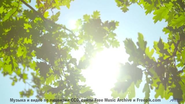 Тишина ломается, когда звучит столь сильная композиция - Springtime -- Holle Mangler -- Escape Over