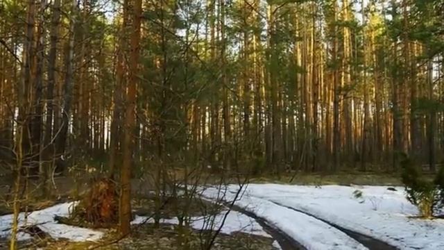 ВЕСНА.