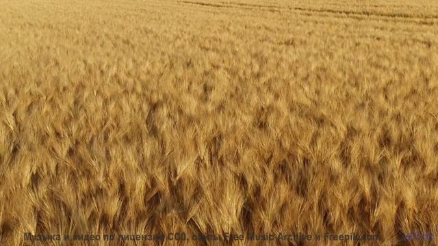 Включите этот трек - и каждый километр станет историей вашей любви - Tribal-Bible -- Ketsa -- Unifie