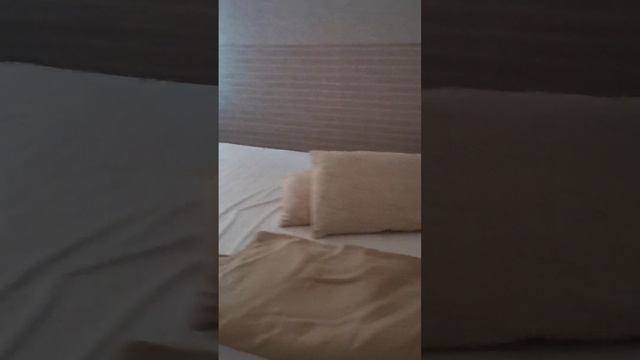 VID_20250621_081340.mp4