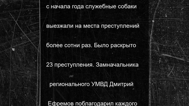 Ведомственными наградами отмечены костромские кинологи