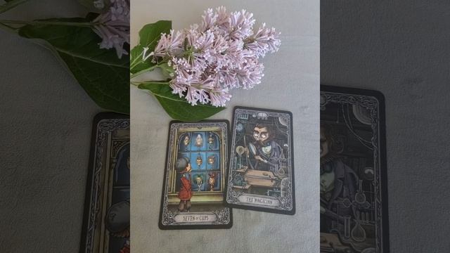 Львы ♌, ваша неделя с 23 по 29 июня.