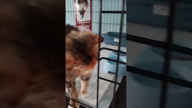 1000175919.mp4