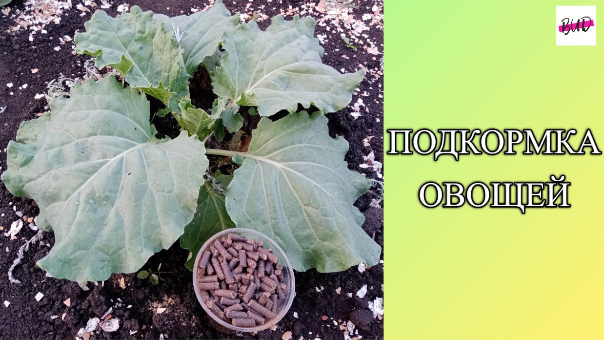 ПОДКОРМКА ОВОЩЕЙ.