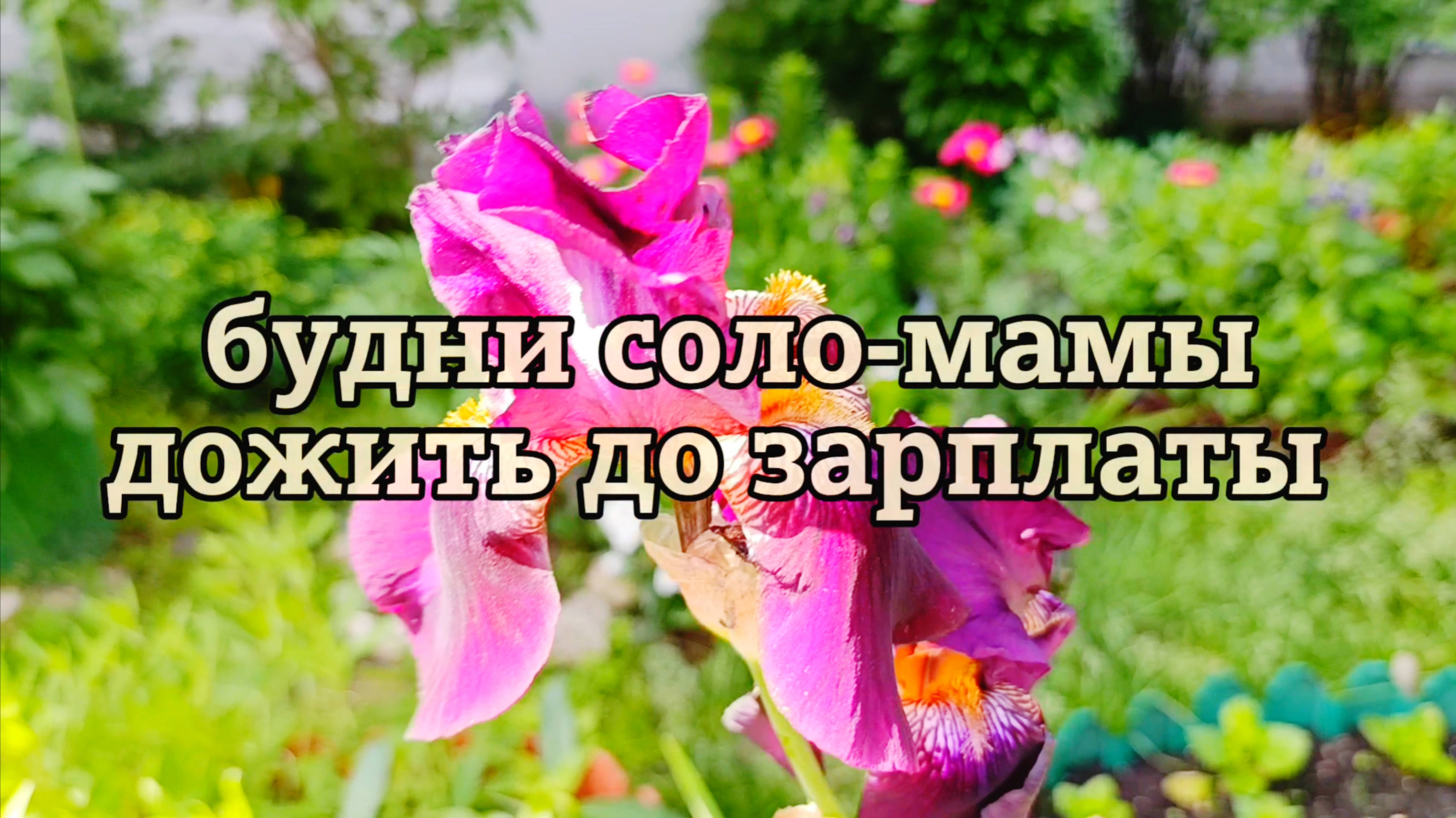 ОДНА С ДВУМЯ ДЕТЬМИ КАК ДОЖИТЬ ДО ЗАРПЛАТЫ