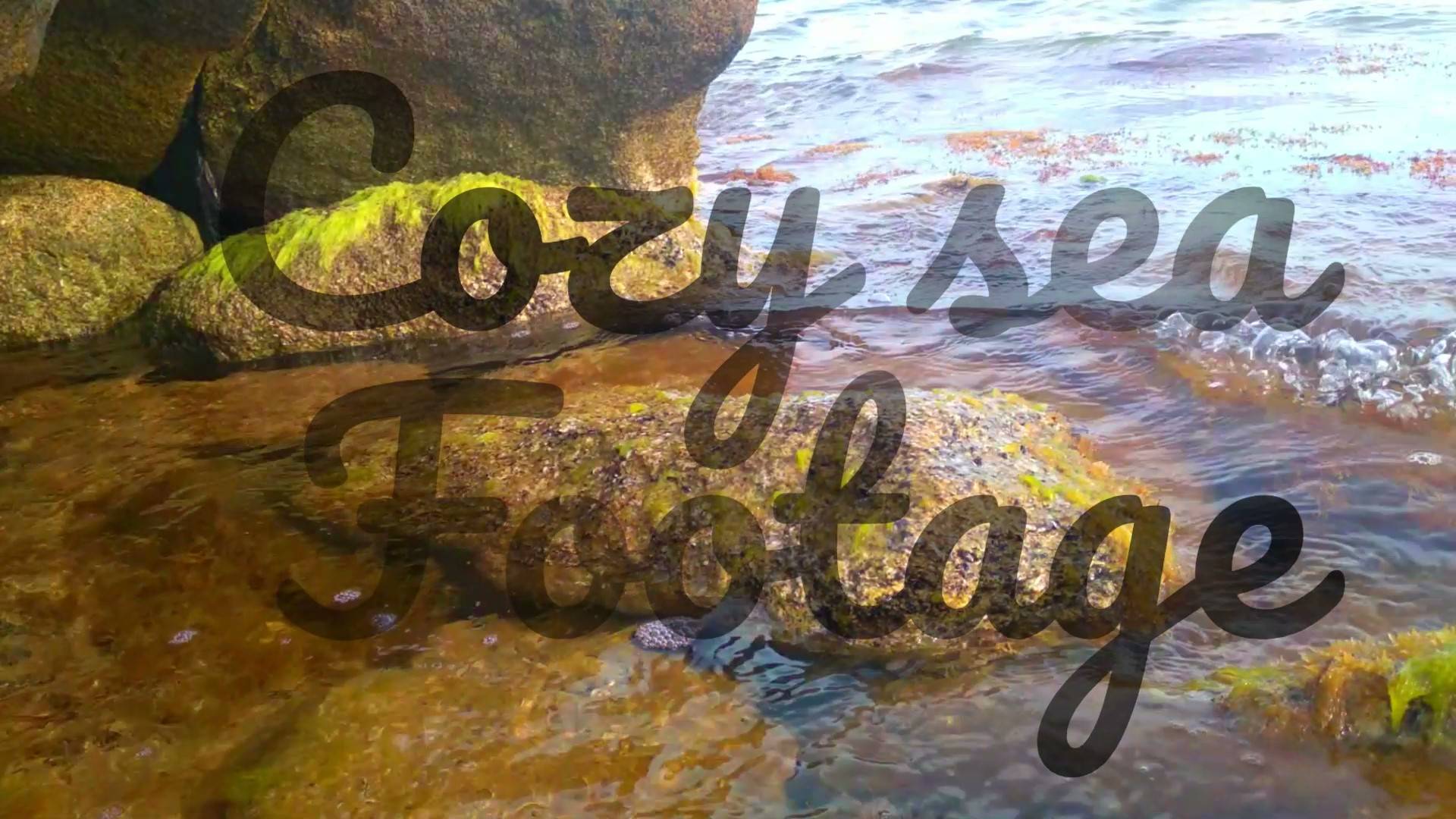 Cozy sea footage