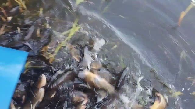 1000030967.mp4
