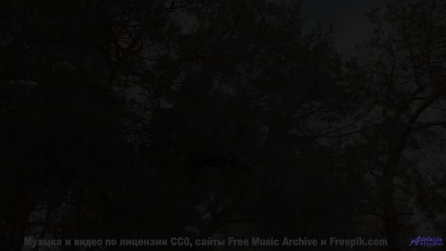 Это видео - как медитация для уставшей души! - Cloud Surfing -- Kirk Osamayo -- Season Two (YELLOW)