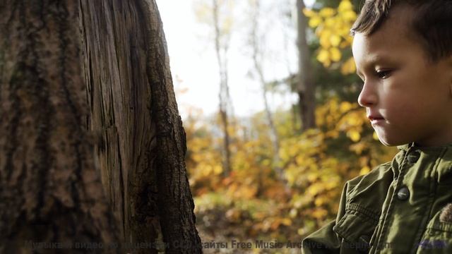 Саунд пробуждает забытые мечты о путешествиях - Just Because Youre Paranoid -- Duncan Reid and the B