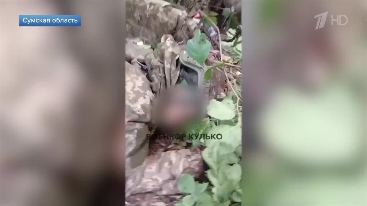 "Я один вас троих" - боец РФ в одиночку уничтожил двух боевиков и одного пленил