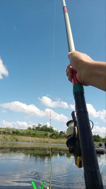 поимка карасика на поплавочную удочку 🎣
