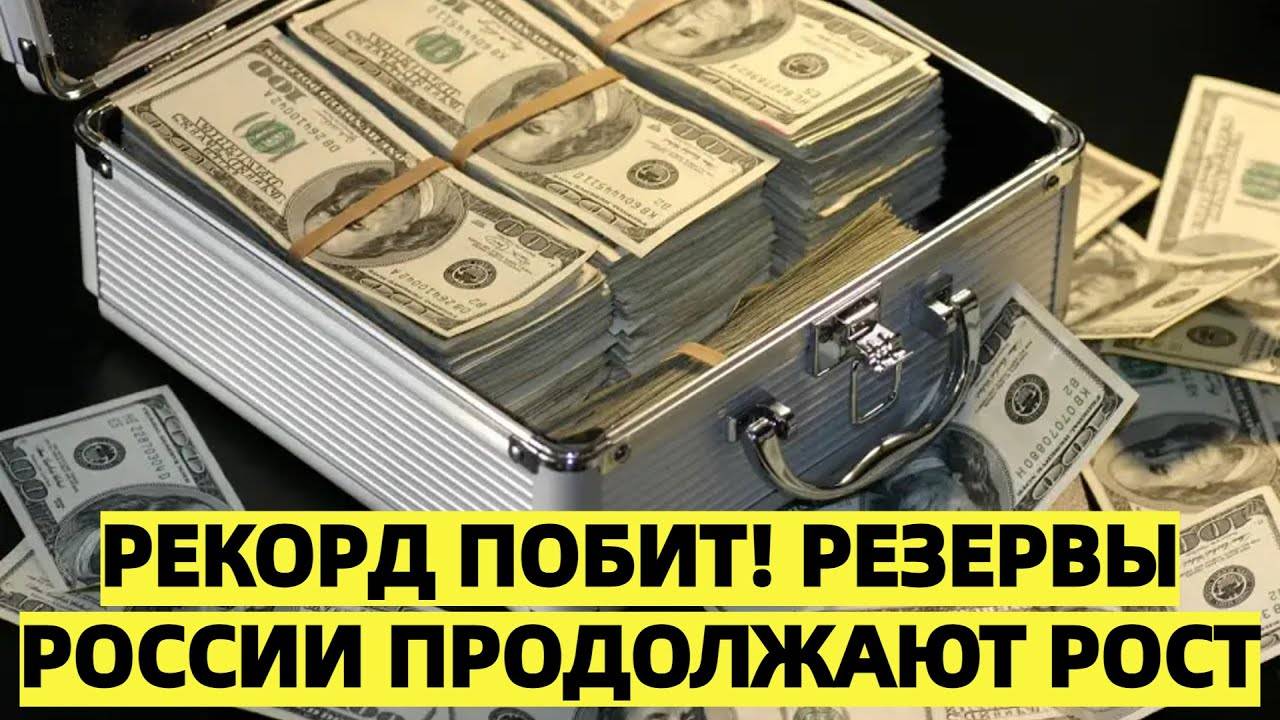 Международные резервы России побили рекорды и продолжают расти