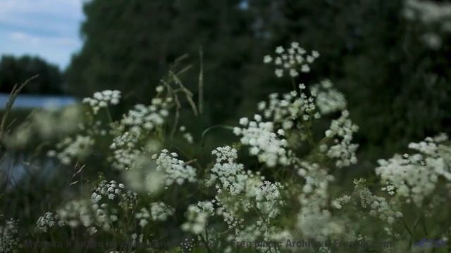 Когда музыка и природа создают идеальный момент! - Reaching Out -- Kirk Osamayo -- Season Two (RED)