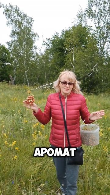 Первый урожай земляники собираем!