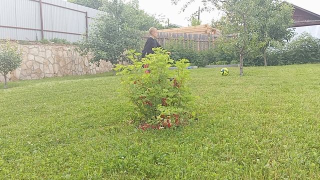 1000006910.mp4