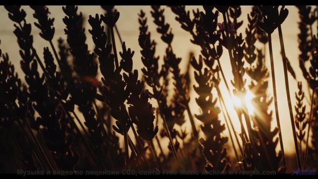 Он настолько романтичен, что хочется влюбиться! - Hope And Belief -- Kirk Osamayo -- Season Two (YEL