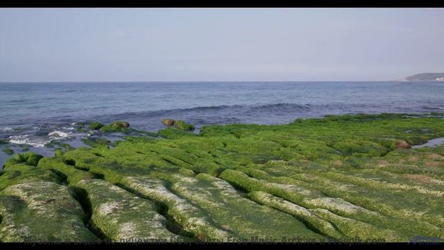 Леса становятся храмом, а музыка - молитвой - Not Stopping -- Ketsa -- Abundance