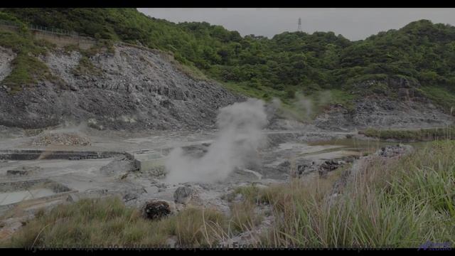 Лес, грязь под колёсами и ритм, который не даёт остановиться! - Scrubbing Bubbles -- Podington Bear