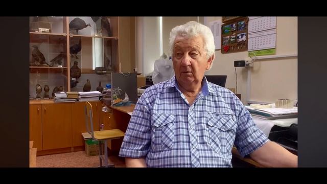 Буратино и его друзья в зоологическом музее ТГУ имени Гавриила Романовича Державина.