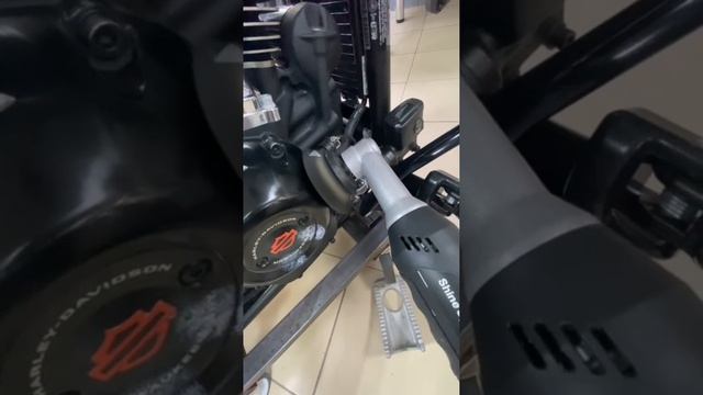VID_20250619_153832_921.mp4