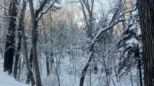 ФОТО - ЛЕТО И ЗИМА В ПАРКЕ И ГОРОДЕ ПАРТИЗАНСКЕ С ИЗМ.