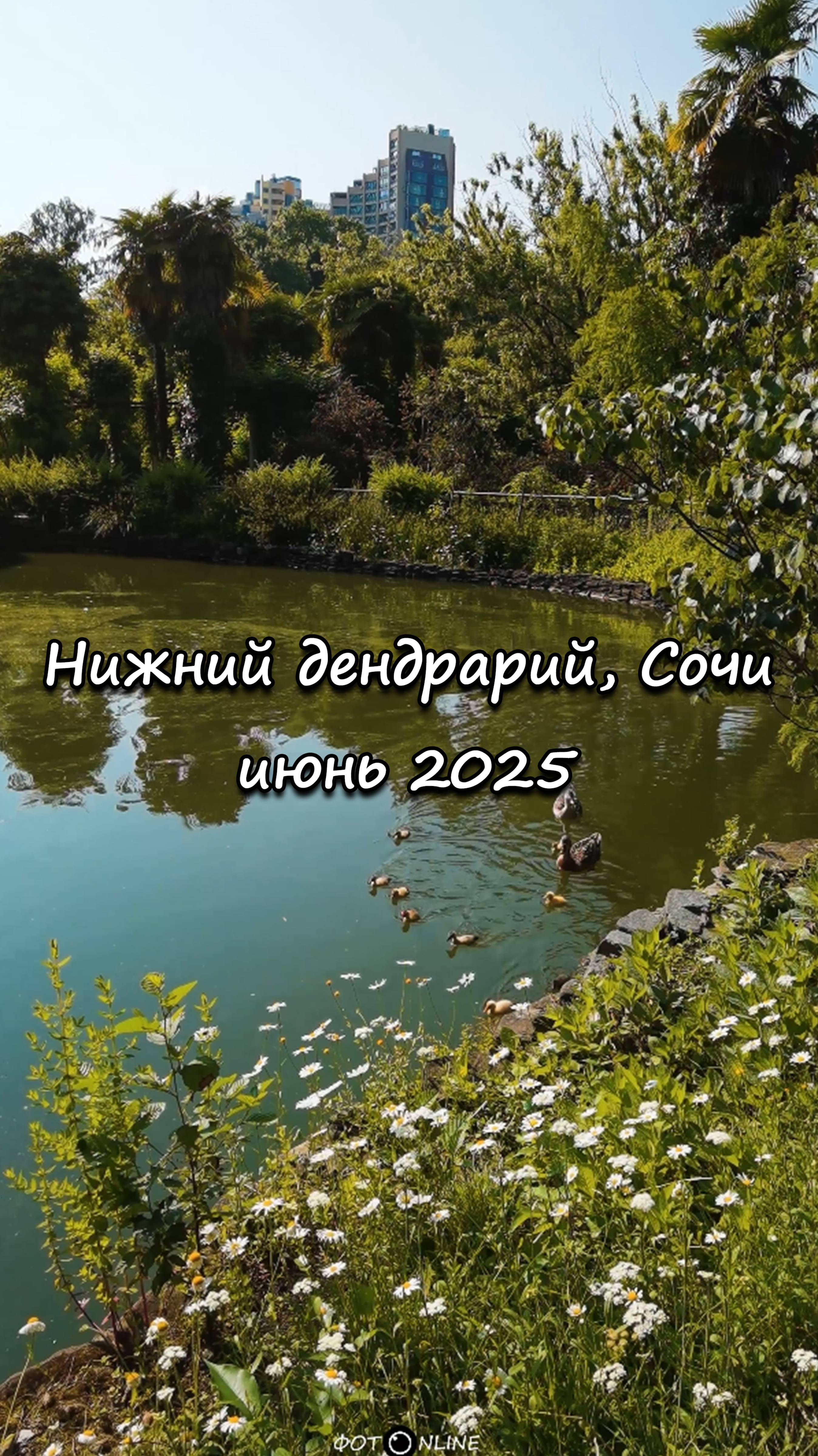Нижний дендрарий, Сочи. Июнь 2025