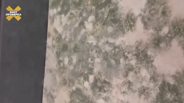 Женщина купила кровать в Ascona за 100 тыся ₽,а она через 3 месяца покрылась плесенью.