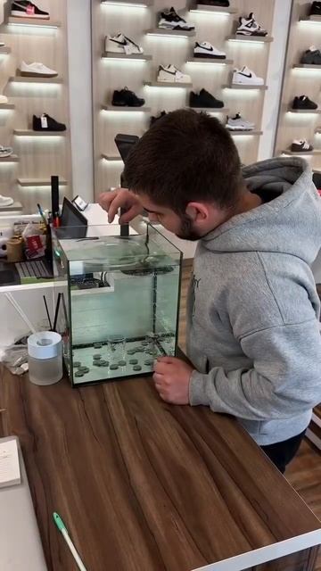 Когда решил добавить искру в серые будни магазина и заработать немного монет.