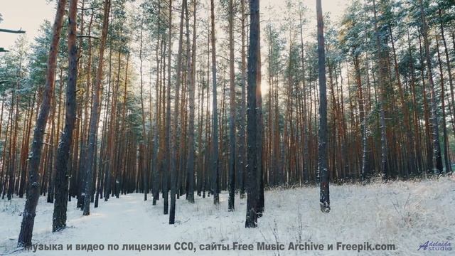 Звуки, которые не должны существовать - но они есть! - Лена Батаева -- POVALISHIN DIVISION -- Запрещ