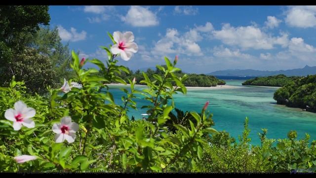 Почему спортсмены слушают это перед соревнованиями - Symphony No. 1 I. Hope -- Steve Combs -- Sympho