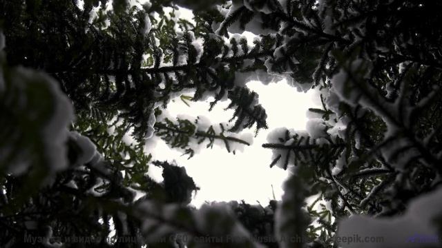 Почему ученые боятся этой комбинации звуков и образов - We Made It -- Kirk Osamayo -- Season Two (OR