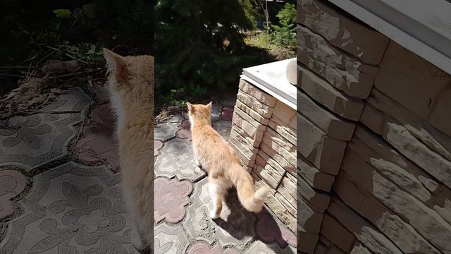 1000115354.mp4