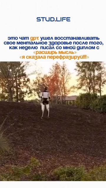 Дорогой дневник ✍🏼✍🏼✍🏼