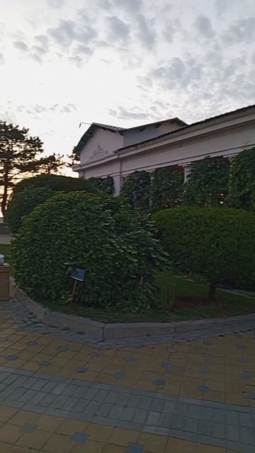 video_2025-06-21_11-57-40 (2)