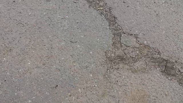 21.06.2025.Обзор проблем, вопросов, обращений, проделанных работ Д.Ляхово.Домодедово.Московская обл.