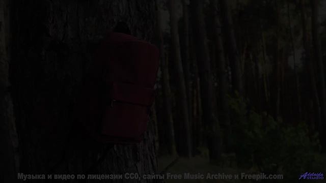 Он заставляет сердце биться чаще - проверь себя! - Underlying -- Ketsa -- The Lost Files